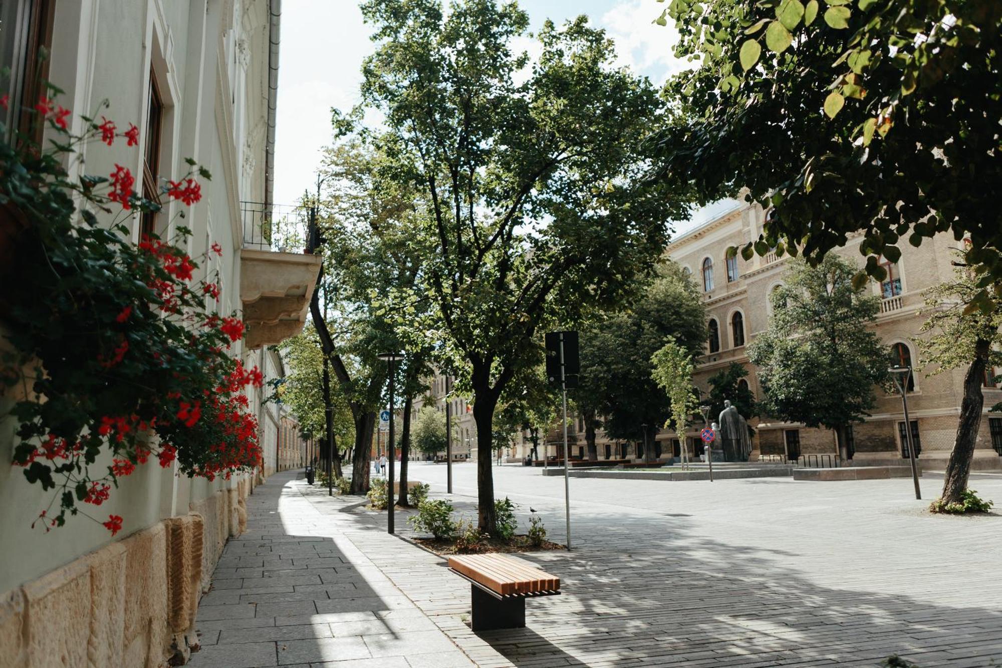 Contessa Central Studio Клуж-Напока Экстерьер фото